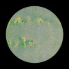太阳轨道飞行器的全新观察揭示了这颗恒星隐藏的动态变化