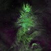 NASA在圣诞节展示“宇宙圣诞树”和“天体花环”天体图像 为节日助兴
