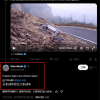 这只狗，火爆全球 马斯克也点赞