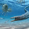 揭开吞噬同类的海蜥 Mosasaurs（沧龙）的黑暗秘密