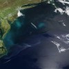 77%的沿海地区受到海水入侵的威胁 我们准备好了吗？