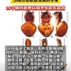 16首周杰伦的歌命名16个蜘蛛新种：论文第一作者是80后