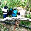 巨大太空碎片坠入肯尼亚 1100磅重的圆环从天而降