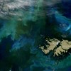 NASA揭示浮游植物造就巴塔哥尼亚