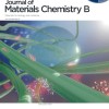 新型防水纸可有望用于包装和生物医学设备 并彻底取代塑料