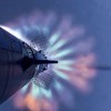 FAA的SpaceX的星际飞船7号管制指令中出现了令人难堪的错别字