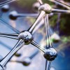 研究人员从分子角度揭示了全氟辛烷磺酸（PFAS）的神经毒性效应