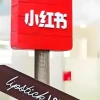小红书，一夜出海