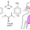 做美甲的风险有多大？