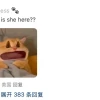 马斯克母亲小红书被美国网友热评：你咋在这？