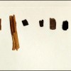 现代科学分析古代木材 揭开罗马历史建筑技术的秘密
