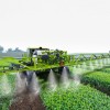 基础生物发现可彻底改变农业中的肥料使用