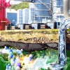 麻省理工学院的零能耗技术可在地下酿造氨水