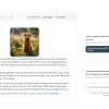 Meta AI 现在提供文档编辑器来帮助您写作