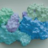 新研究揭示微生物如何帮助大气排毒