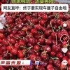 “车厘子崩盘”背后网络假象：部分电商年年卖惨销货 经销商称好货并不愁卖