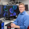 科学家重编程免疫细胞以阻止自身免疫攻击
