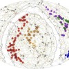 科学家发现宇宙最大结构“奇普”