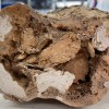 考古人员在6600万年前的恐龙骨骼中发现胶原蛋白