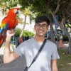 最新尸检报告认定 OpenAI 吹哨人之死为自杀
