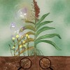 中国科研团队发现能抵御寄生植物的关键基因