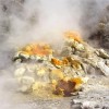一种在极端火山条件下生长的藻类为改善光合作用和农业可持续性提供了启示