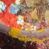 研究人员在夏威夷的隐蔽珊瑚礁中发现10种新海绵物种