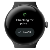 脉搏检测功能已获得美国FDA批准 现已可在Pixel Watch 3上使用