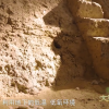 研究发现一千四百年前的古人已用上储粮黑科技