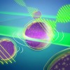 科学家将布里渊显微镜成像速度提升千倍