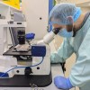 澳洲团队造出会打小游戏的生物计算机 用人脑细胞打造
