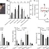 新研究揭示了与人类肥胖症研究相关的犬类肥胖症基因