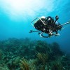 AI帮助破解海洋声学密码 揭示珊瑚礁中隐藏的海洋生物