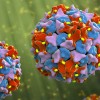 Grifols脊髓灰质炎后免疫疗法在人体试验中取得成功