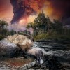 火山灰中埋藏3万年的秃鹫化石隐藏着不为人知的秘密