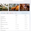 微软为Microsoft 365订阅用户推出Copilot for OneDrive 可以总结/对比/回答问题