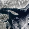 忘记结冰的海湾：消失的冬天对气候和野生动物意味着什么？