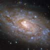 哈勃太空望远镜捕捉到螺旋星系NGC 5530的图像