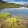 陆地生态系统中的碳储量正在增加 其中大部分储存在非生物库中