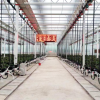 自主龙芯CPU变革传统农业：全国产的智慧草莓大棚