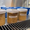太空味噌实验：宇宙环境对食物有独特影响