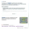 Google AI误信愚人节恶作剧故事 将其当作真实新闻