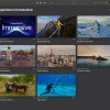苹果推出适用于 Mac 和 Vision Pro 的沉浸式视频文件管理器