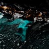 海洋为何会发光？科学家揭开困扰水手们400年的谜团