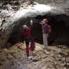 800万年的“绿色阿拉伯”：化石和洞穴研究改写了人类迁徙史