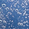 地球淡水正在逐渐令水生动物窒息 科学家警示潜在的紧急情况