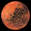 地衣挑战火星：地球上最顽强的生物在模拟火星极端环境中生存