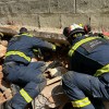 10只蟑螂背特制相机包参与地震救援 通过电极向其发信号
