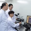 复旦团队研制“破晓”皮秒闪存 系目前最快半导体电荷存储器件