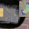科学家发现一种材料的四种形态：超导体、金属、半导体和绝缘体